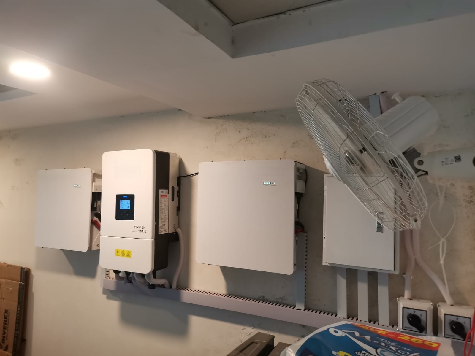 WhatsApp Image 2026-03-26 at 11.50.53_副本